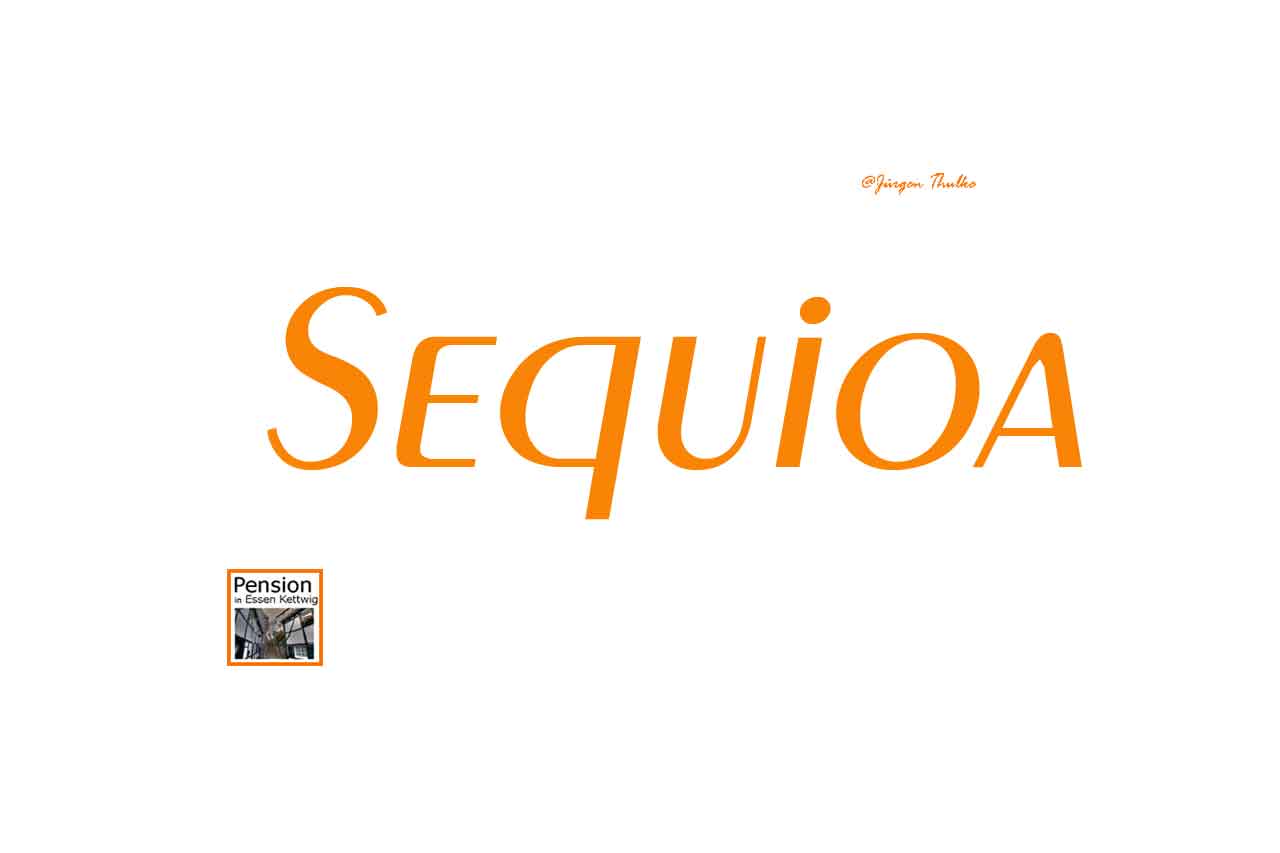 Sequioa