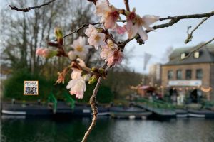 Weihnachtsmarkt mit Kirschblüte am Wasserbahnhof Mülheim